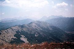 Albnsk hory